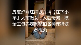 皮皮虾网红纯欲女神【在下小羊】人前傲女，人后母狗，被金主包养定制私拍各种裸舞紫薇视频