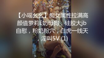 【小瑶幺幺】痴女属性拉满高颜值萝莉E奶母狗，硅胶大jb自慰，粉奶粉穴，白虎一线天，淫叫5V (1)