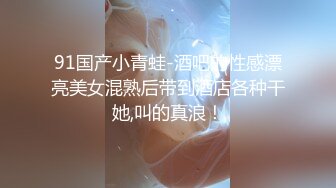 91国产小青蛙-酒吧的性感漂亮美女混熟后带到酒店各种干她,叫的真浪！