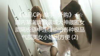 《极品CP⚡魔手☛外购》★☆国内某潮牌服装城大神藏匿女厕隔板缝中连续偸拍各种极品气质美女小姐姐方便 (2)