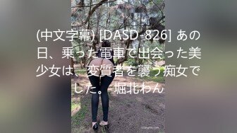 (中文字幕) [DASD-826] あの日、乗った電車で出会った美少女は、変質者を襲う痴女でした。 堀北わん