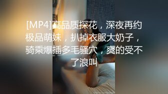 [MP4]高品质探花，深夜再约极品萌妹，扒掉衣服大奶子，骑乘爆插多毛骚穴，爽的受不了浪叫