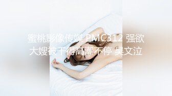 蜜桃影像传媒 PMC312 强欲大嫂被干得高潮不停 吴文泣