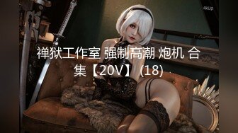 禅狱工作室 强制高潮 炮机 合集【20V】 (18)