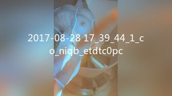 2017-08-28 17_39_44_1_co_niqb_etdtc0pc