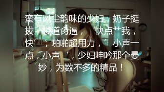 蛮有风尘韵味的少妇，奶子挺拔，楼道肏逼，‘快点艹我，快’，啪啪超用力，’小声一点，小声‘，少妇呻吟那个曼妙，为数不多的精品！